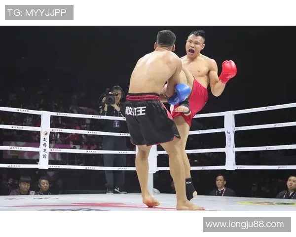 王文忠散打挑战欧洲高手展现中国武术风采与实力对决