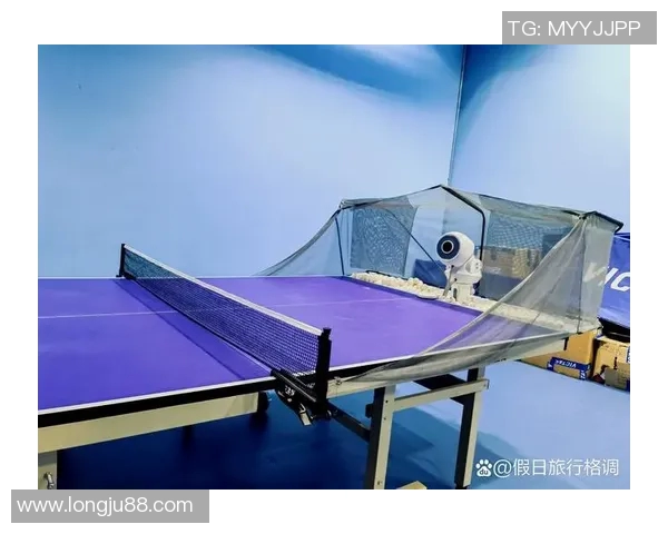 王娜独家分享乒乓球技巧与心得助你提升球技的全攻略